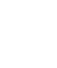 Asset-1