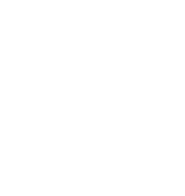 Asset-3